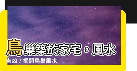 鳥在家築巢風水|鳥巢入屋 風水大師分析